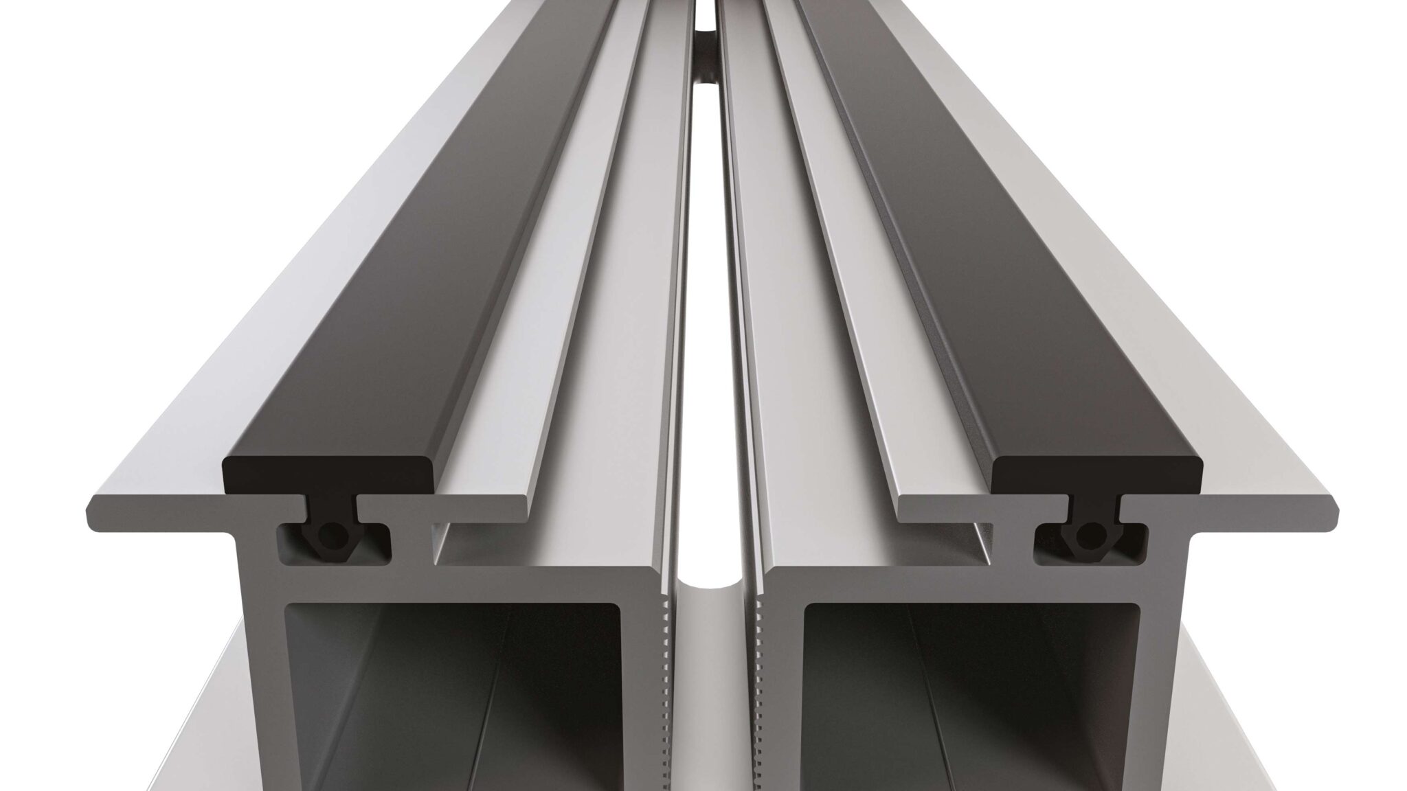 Joist  T1Rail MAT61 dimenzije 60x20xmm, 2ml